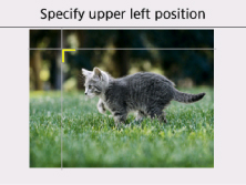 afbeelding: LCD-scherm